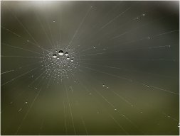 _avf0042 21920
